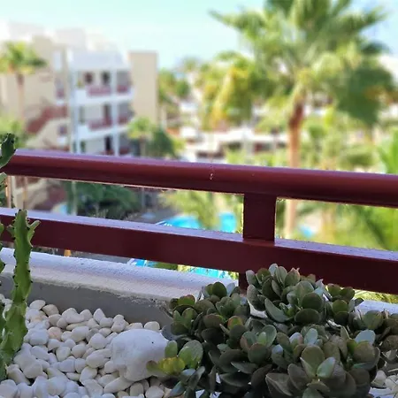 Panoramic Palmar Apartment *